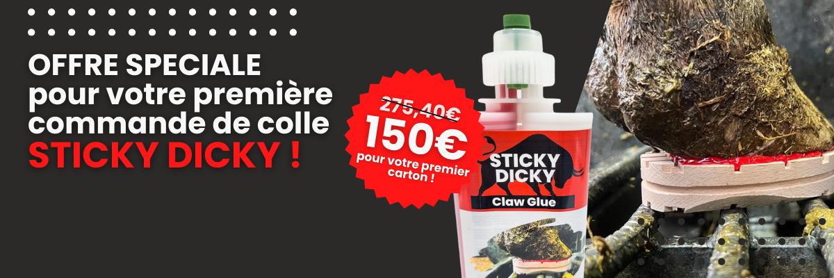 Sticky Dicky monthly offer
