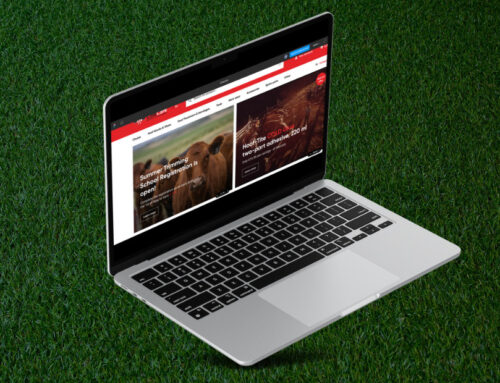 Coming soon: The New CowCare Website!