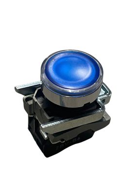 button for ANKA