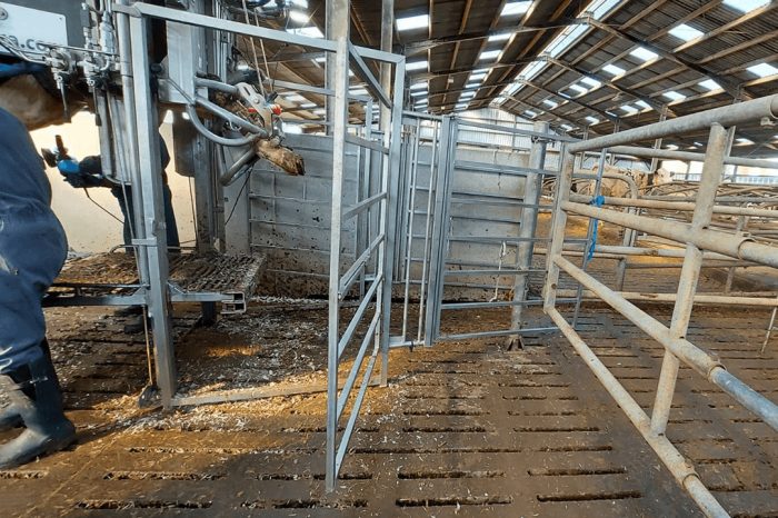 flexible integrated barrier for anka hoof trimming crushes gate system 2