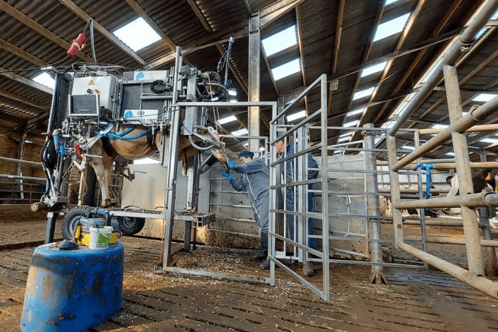 flexible integrated barrier for anka hoof trimming crushes gate system 3