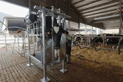 Core 3.0 Farmer Hoof Trimming Chute