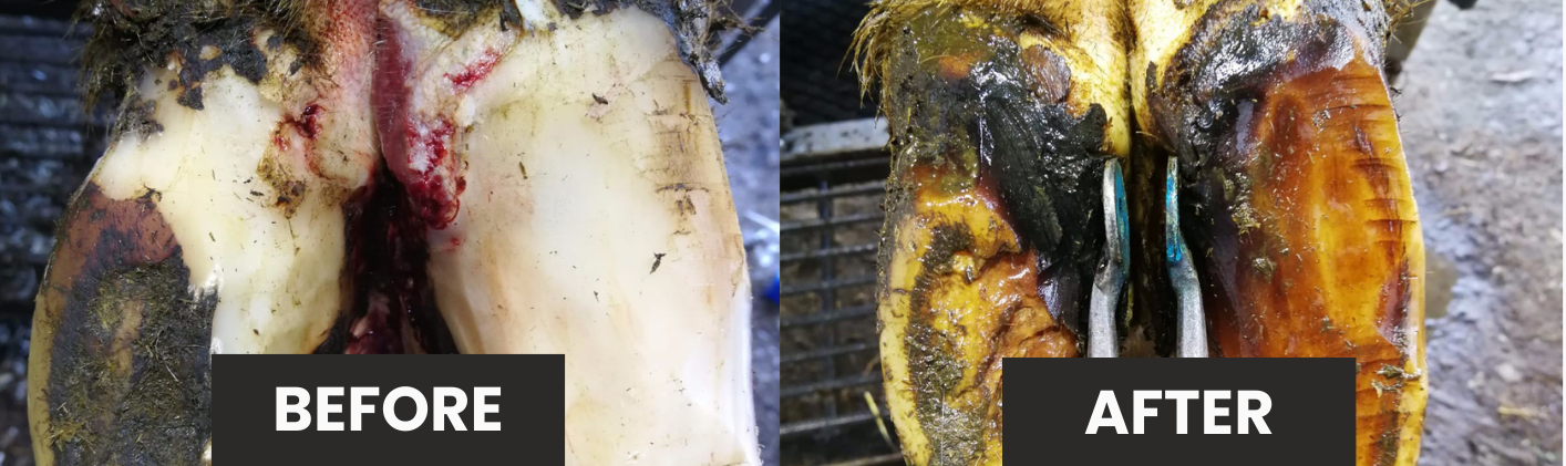 DD-Delete - before and after