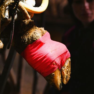 Home 53 tape&care red tape on cow hoof