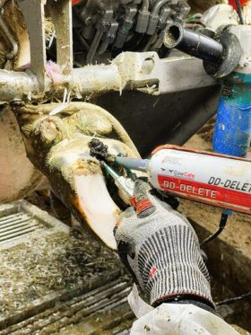 dd-delete care gel being applied to hoof skin