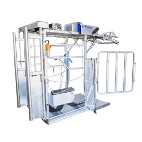 Dairy Farmer Cow Hoof Trimming Chute