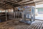 Dairy HD Farmer Cow Hoof Trimming Chute
