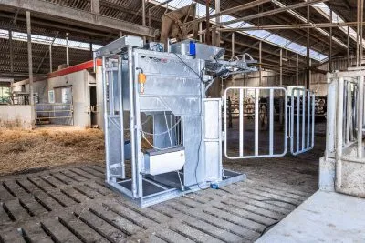 Dairy HD Farmer Cow Hoof Trimming Chute