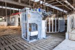 Dairy HD Farmer Cow Hoof Trimming Chute