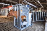 Dairy HD Farmer Cow Hoof Trimming Chute