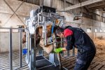 Dairy HD Farmer Cow Hoof Trimming Chute
