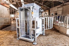 Dairy LUX LIFT Farmer Cow Hoof Trimming Chute