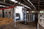 Dairy LUX LIFT Farmer Cow Hoof Trimming Chute