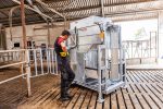 Dairy LUX LIFT Farmer Cow Hoof Trimming Chute