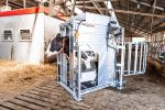 Dairy LUX LIFT Farmer Cow Hoof Trimming Chute