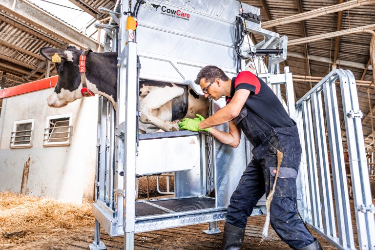 Dairy LUX LIFT Farmer Cow Hoof Trimming Chute