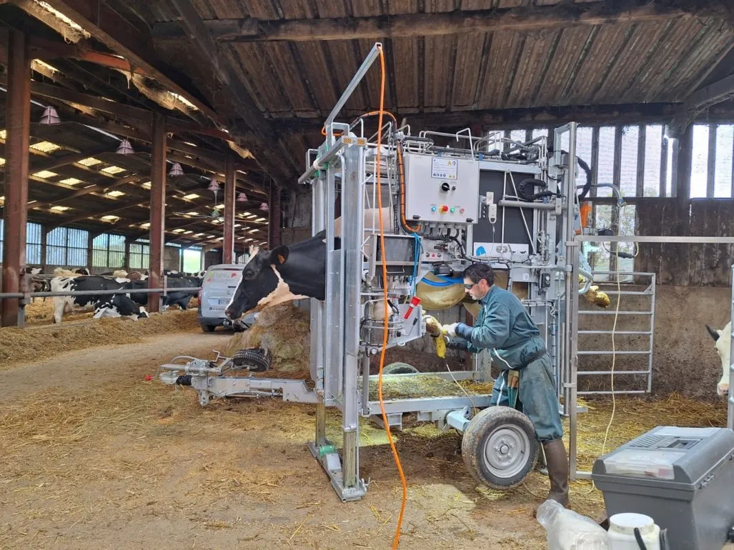 Best Cow Hoof Trimming Equipment in 2026 8 CowCare Professional Hoof Trimming Chute Anka Carry