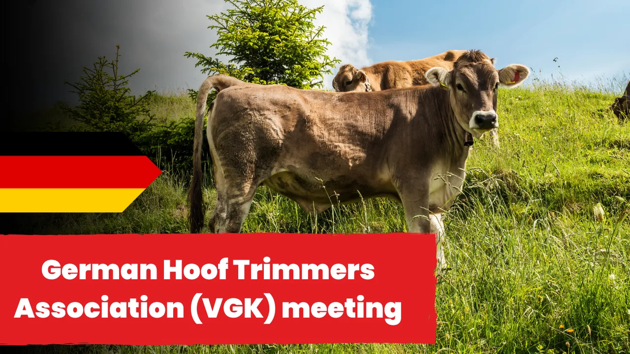 VGK Hoof Trimmers Assoc. Meetup