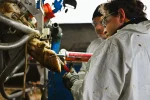 DD-DELETE HOOF CARE GEL BEING APPLIED TO COW HOOF WITH DIGITAL DERMATITIS