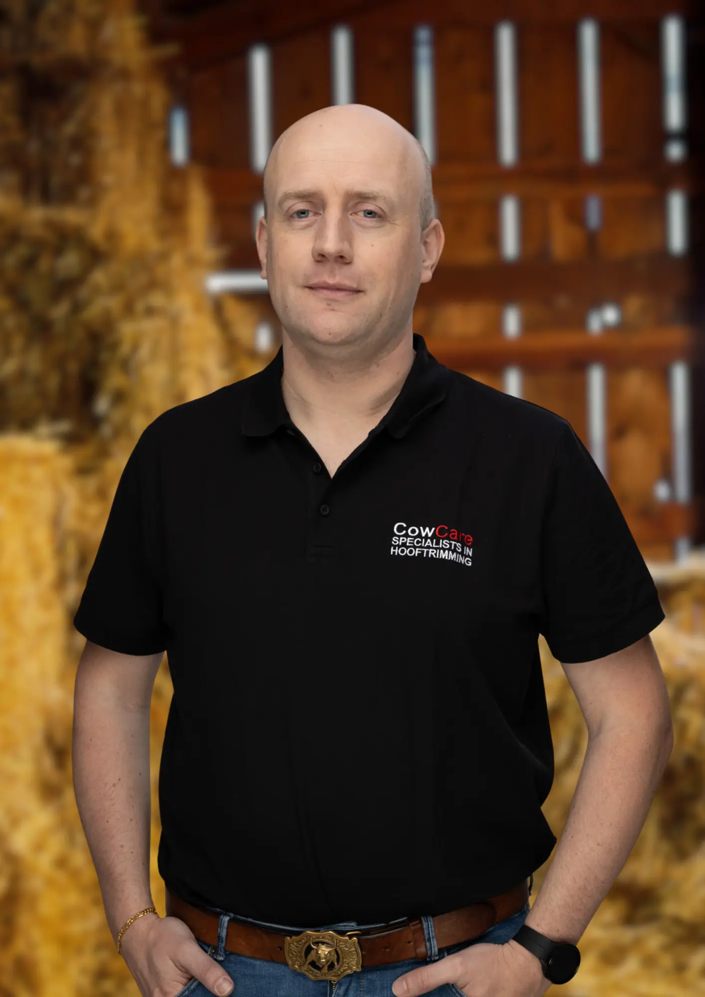 Hens Mekking About CowCare