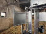 CowCare DAIRY RoboChute Treatment Milking Robot Farm Hoof Trimming Chute